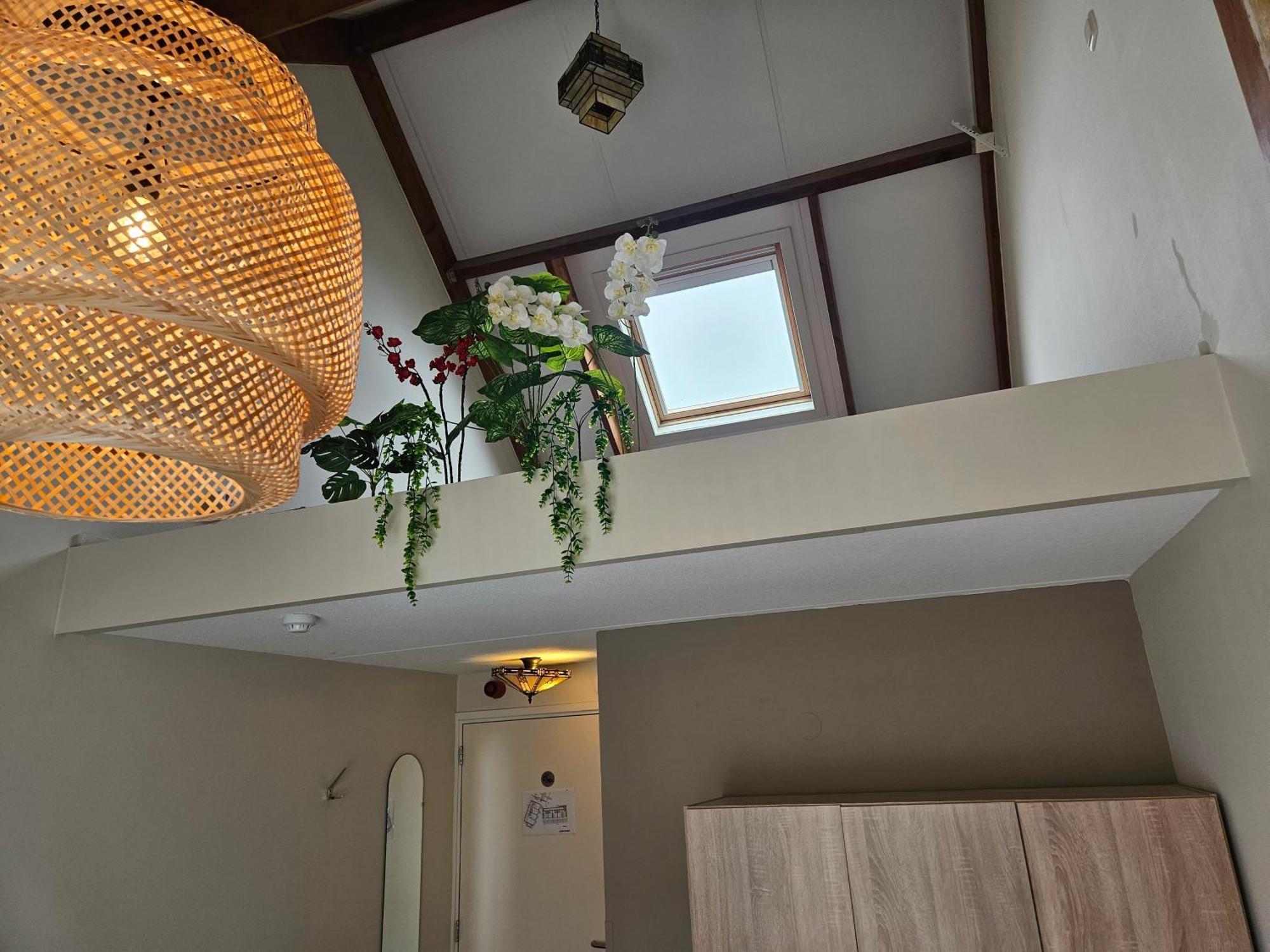 Hotel Dolores Ameland ネス エクステリア 写真